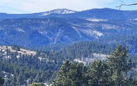 View from Mt. Roosevelt Loop