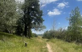 Homestake Trail