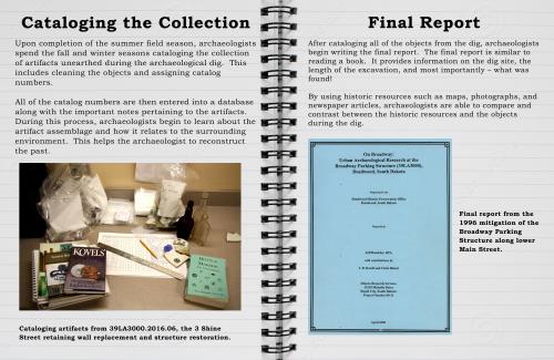 Cataloging the Collection / Final Report