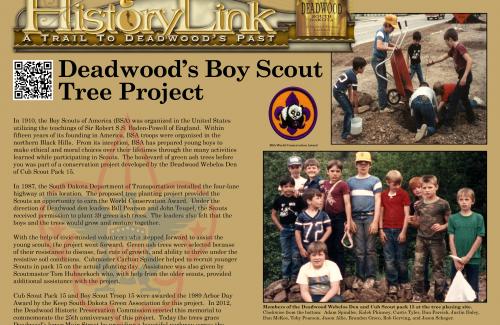 Boy Scout Tree Project (Whitewood Creek Trail)