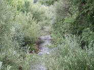 Overview of Whitewood Creek from McKinley Bridge