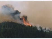 2002 Grizzly Gulch Fire