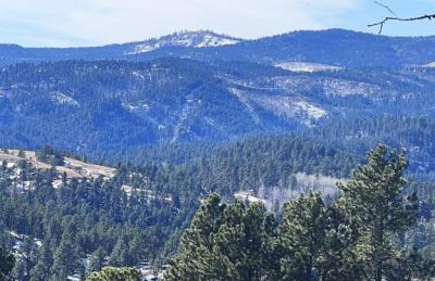 View from Mt. Roosevelt Loop