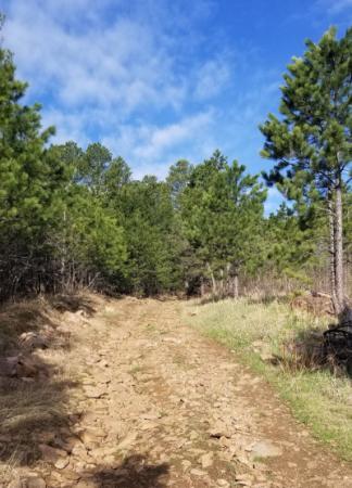 Downtown Deadwood to Mount Roosevelt Loop Trail