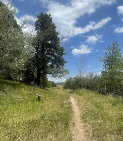 Homestake Trail