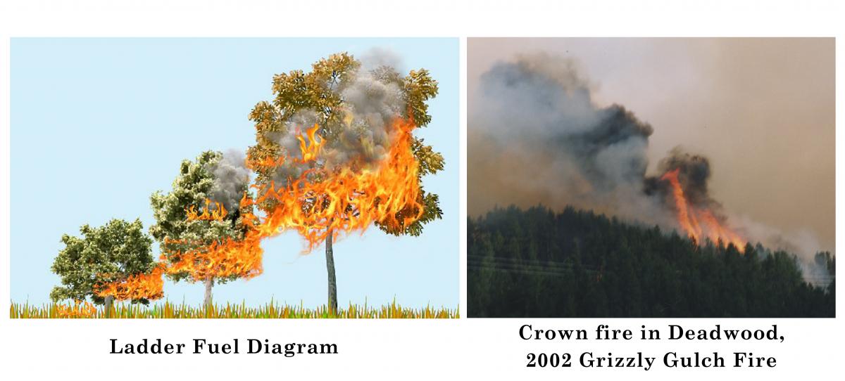 Deadwood Fuels Reduction / Firewise Program